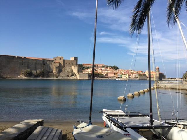 66B - Beautiful Flat 800M From The Sea With Private Parking Apartment Collioure Exterior photo