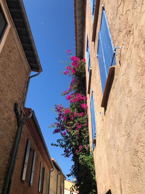 66B - Beautiful Flat 800M From The Sea With Private Parking Apartment Collioure Exterior photo