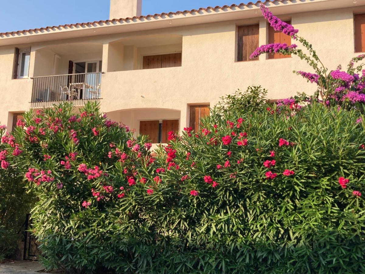 66B - Beautiful Flat 800M From The Sea With Private Parking Apartment Collioure Exterior photo