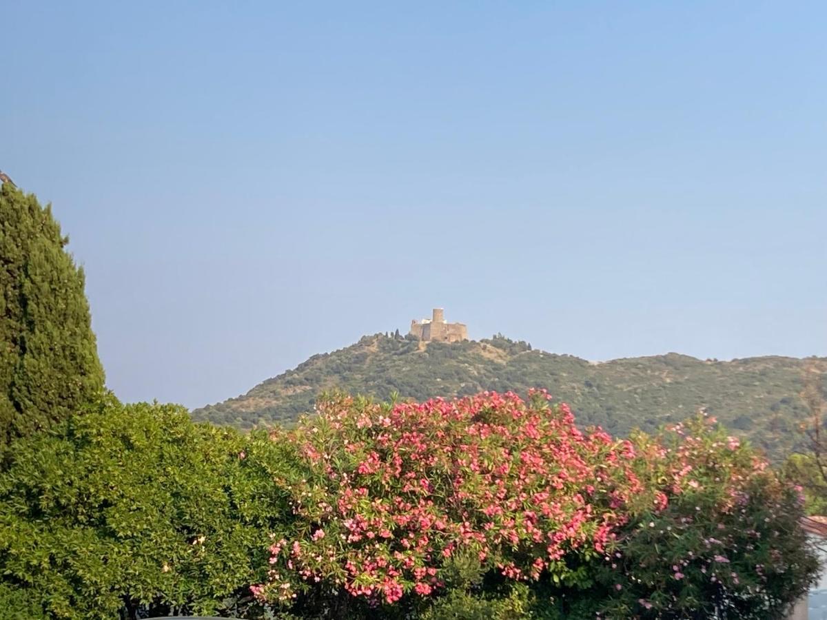 66B - Beautiful Flat 800M From The Sea With Private Parking Apartment Collioure Exterior photo